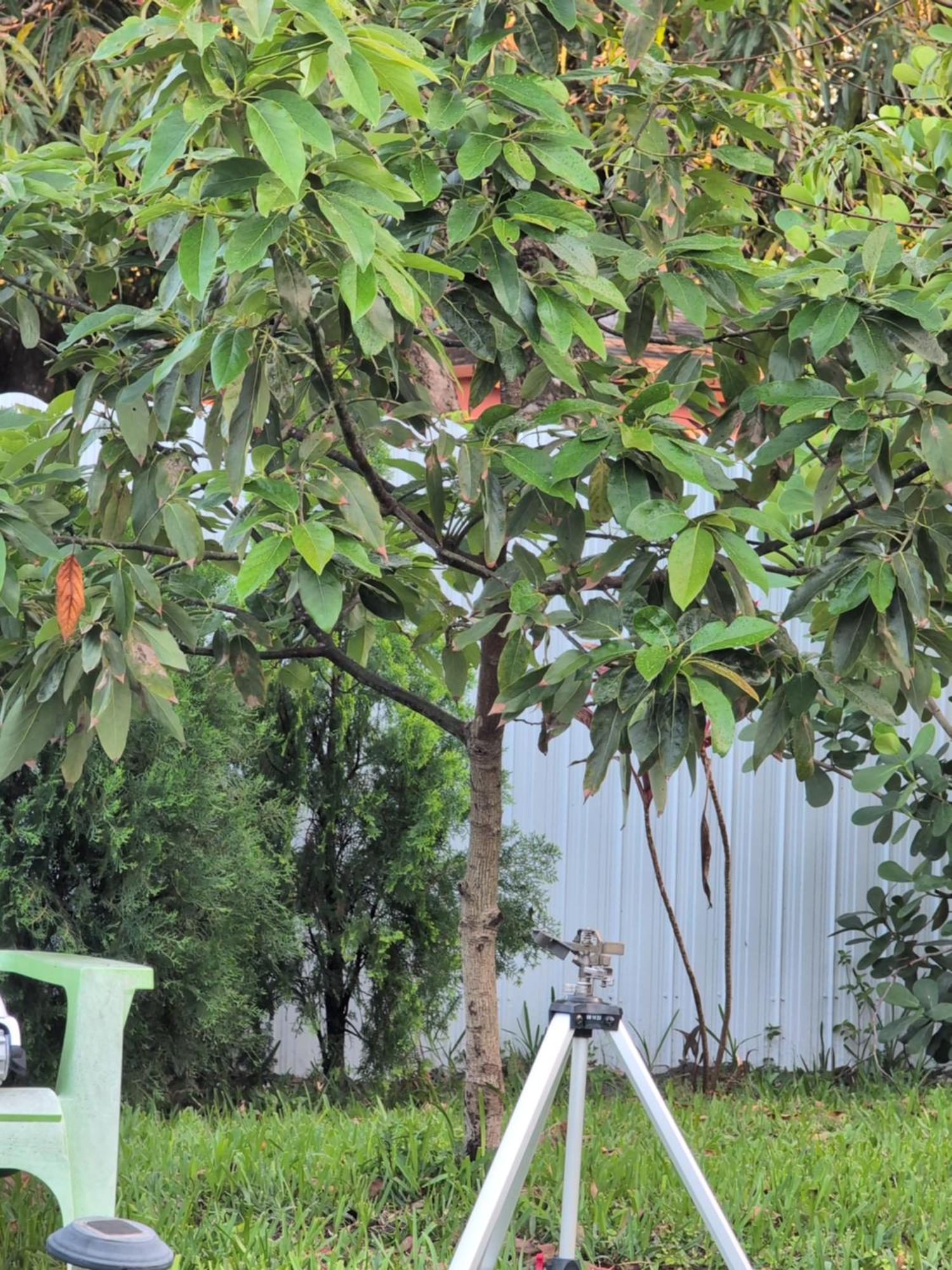 Guest house Mini Oasis Ii *