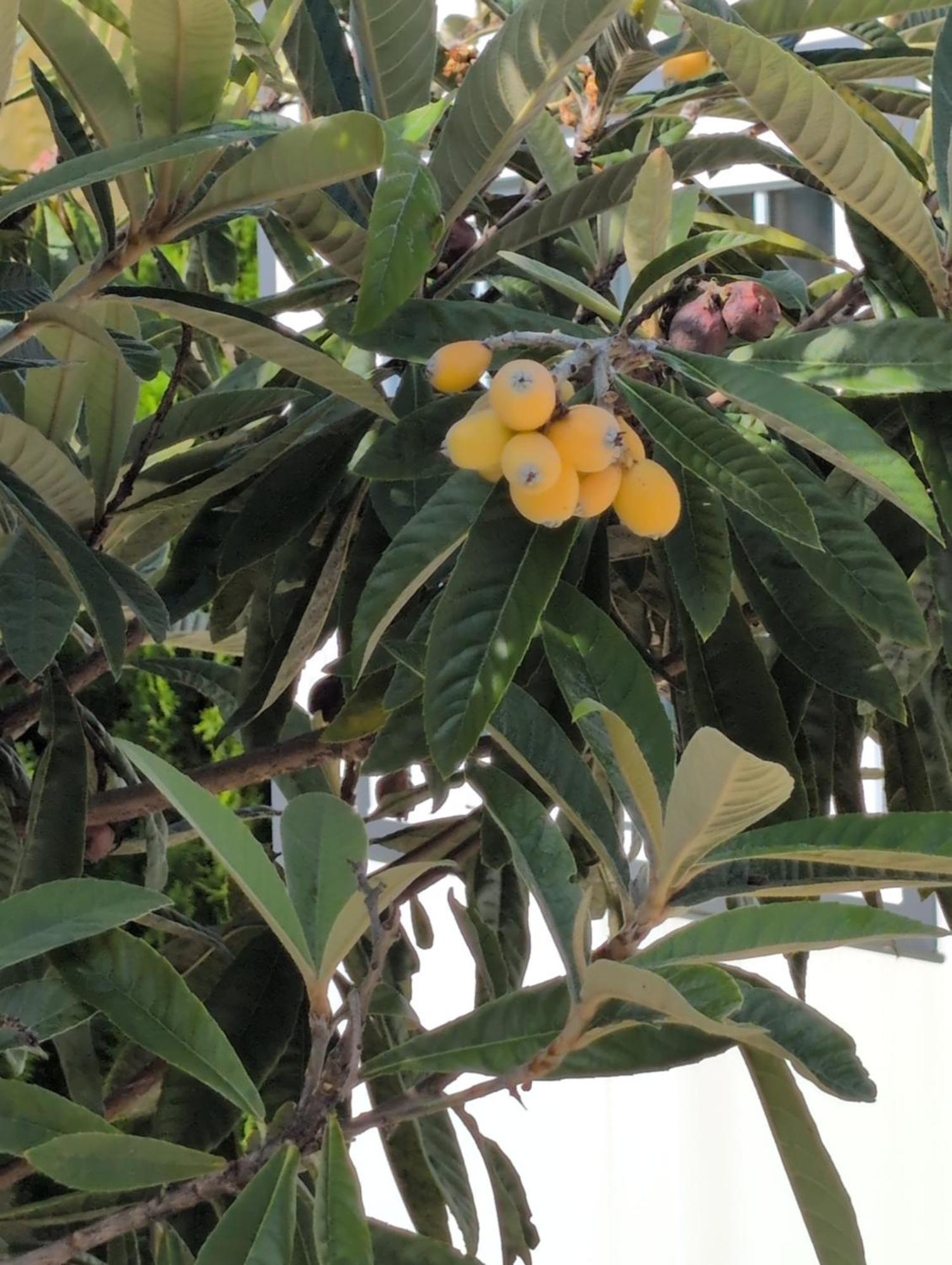 Mini Oasis Ii Miami Springs